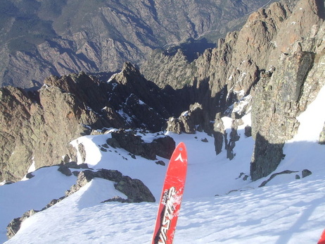 DENT D ASCO DENT D ASCO