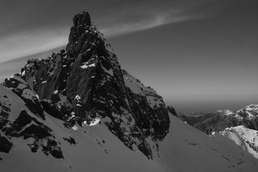 Asco, encore et toujours Asco, encore et toujours