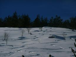 Le bas mieux que le haut ! Le bas mieux que le haut !