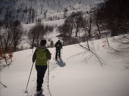 Bergeries  d'Alzetta