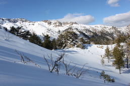 Bergeries de Timozzo en direction du lac de l'oriente