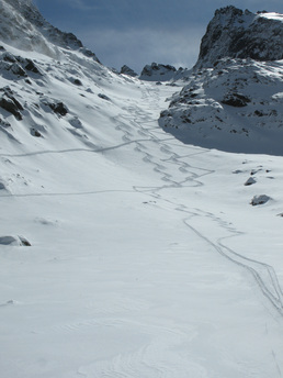 CORSICA BLANCHE