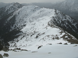 PETRA NIELLA PETRA NIELLA