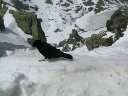Recto Verso à la brèche de GORIA Recto Verso à la brèche de GORIA
