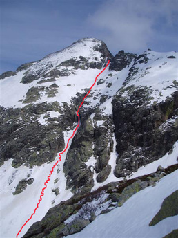 GORIA suite GORIA suite