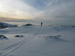 Punta Ricivalle - Couloir Nord MonteNiellu Punta Ricivalle - Couloir Nord MonteNiellu