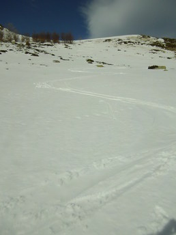 Punta di zorpi Punta di zorpi