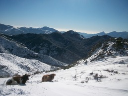 Ski Alternatif Ski Alternatif