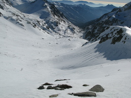 RENOSU - VITALACA RENOSU - VITALACA