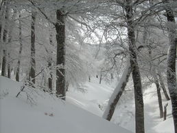 VERDE VAL D'ESE VERDE VAL D'ESE