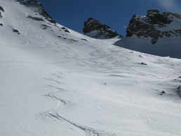 TUMAGINESCA-LUCHISI TUMAGINESCA-LUCHISI