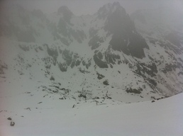 PTA MUZZELA PTA MUZZELA