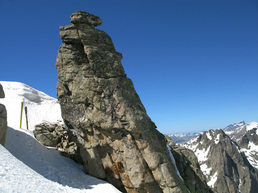 MUZZELLA - FORCI MUZZELLA - FORCI