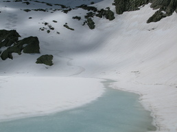 MUZZELLA LAC RINOSU MUZZELLA LAC RINOSU