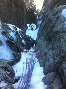 Les barjots Les barjots