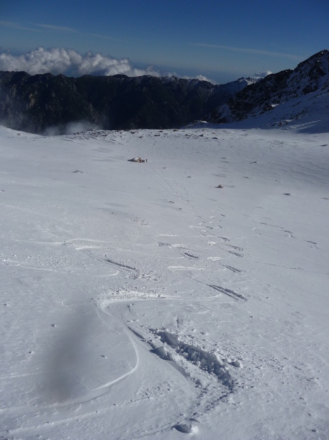 Jolies traces Jolies traces