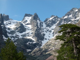 Pampanosa ce matin Pampanosa ce matin