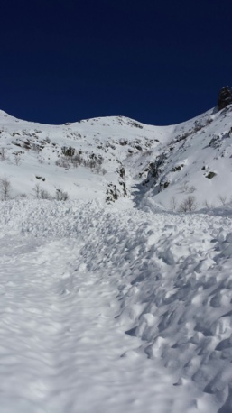 Grosse avalanche dans le massif du Monte D'oro