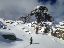 Vergio et sa poudreuse Vergio et sa poudreuse