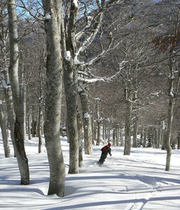 20/12/07 Poudreuse 20/12/07 Poudreuse