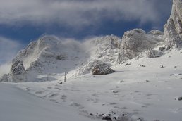 conditions asco conditions asco