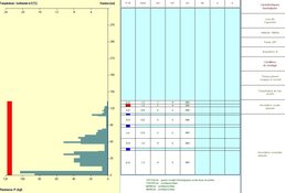 Sondage de battage Sondage de battage