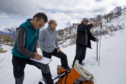 Sondage de battage Sondage de battage