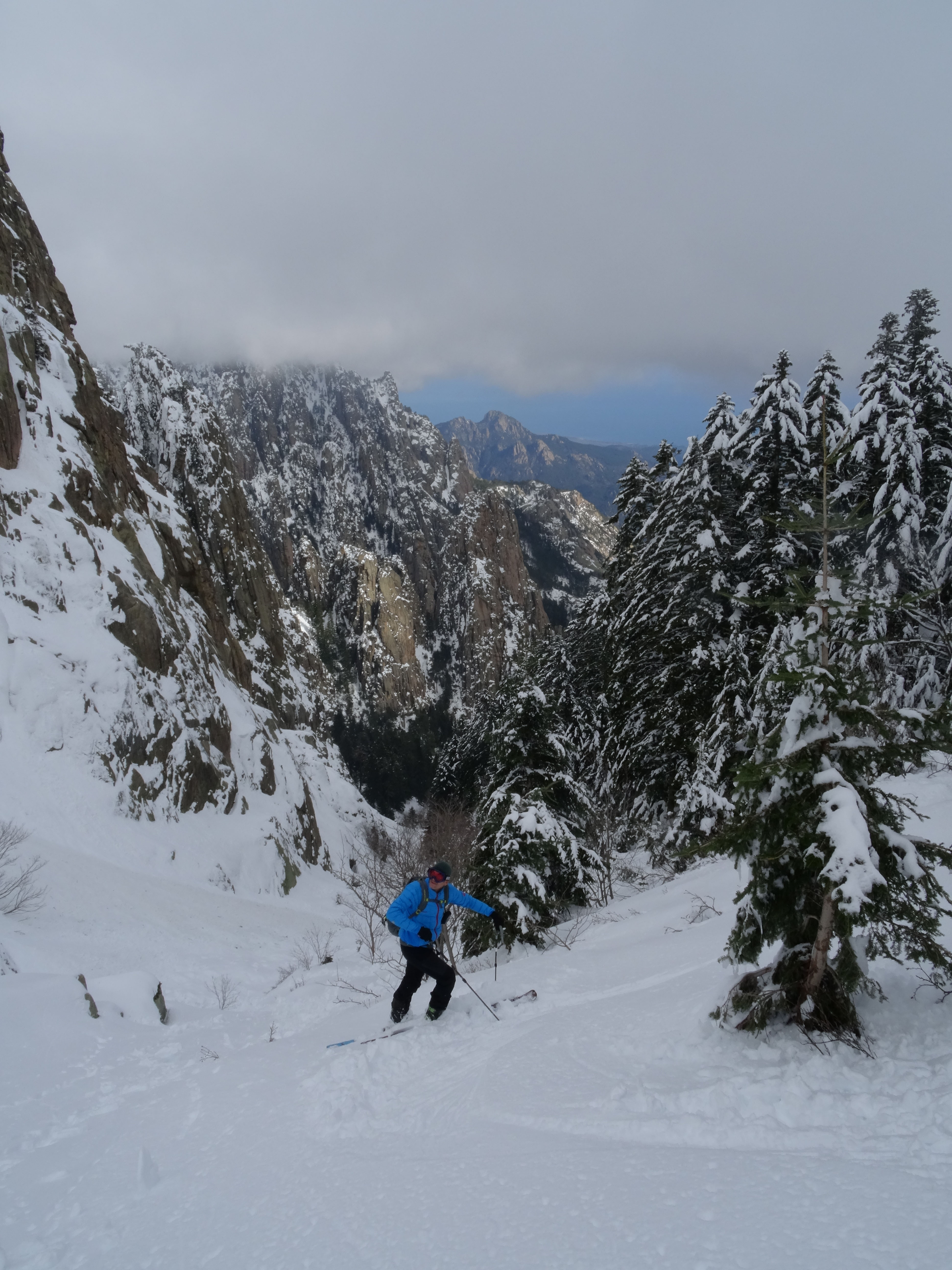 Article n°983 Article n°983