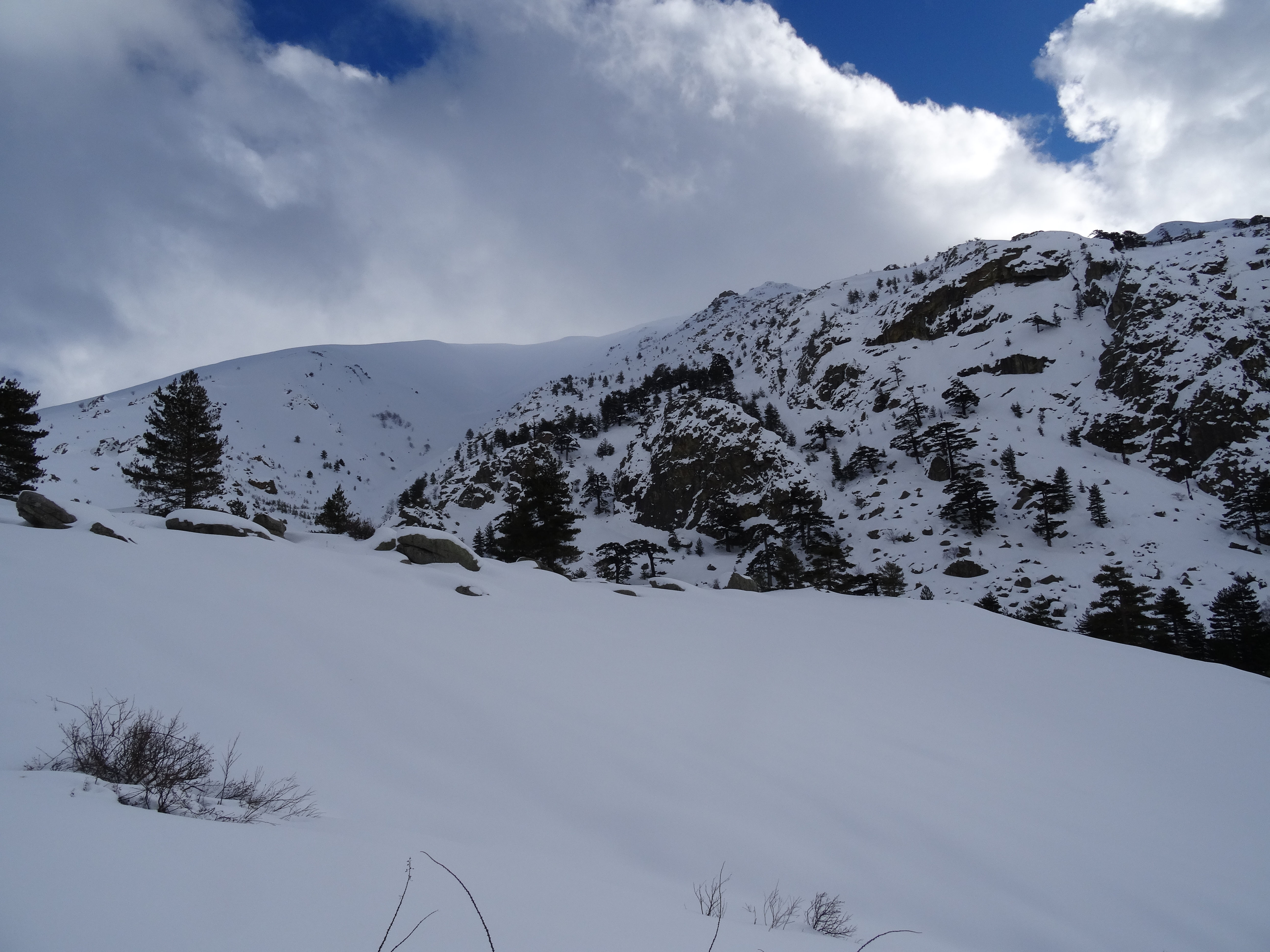 Article n°983 Article n°983