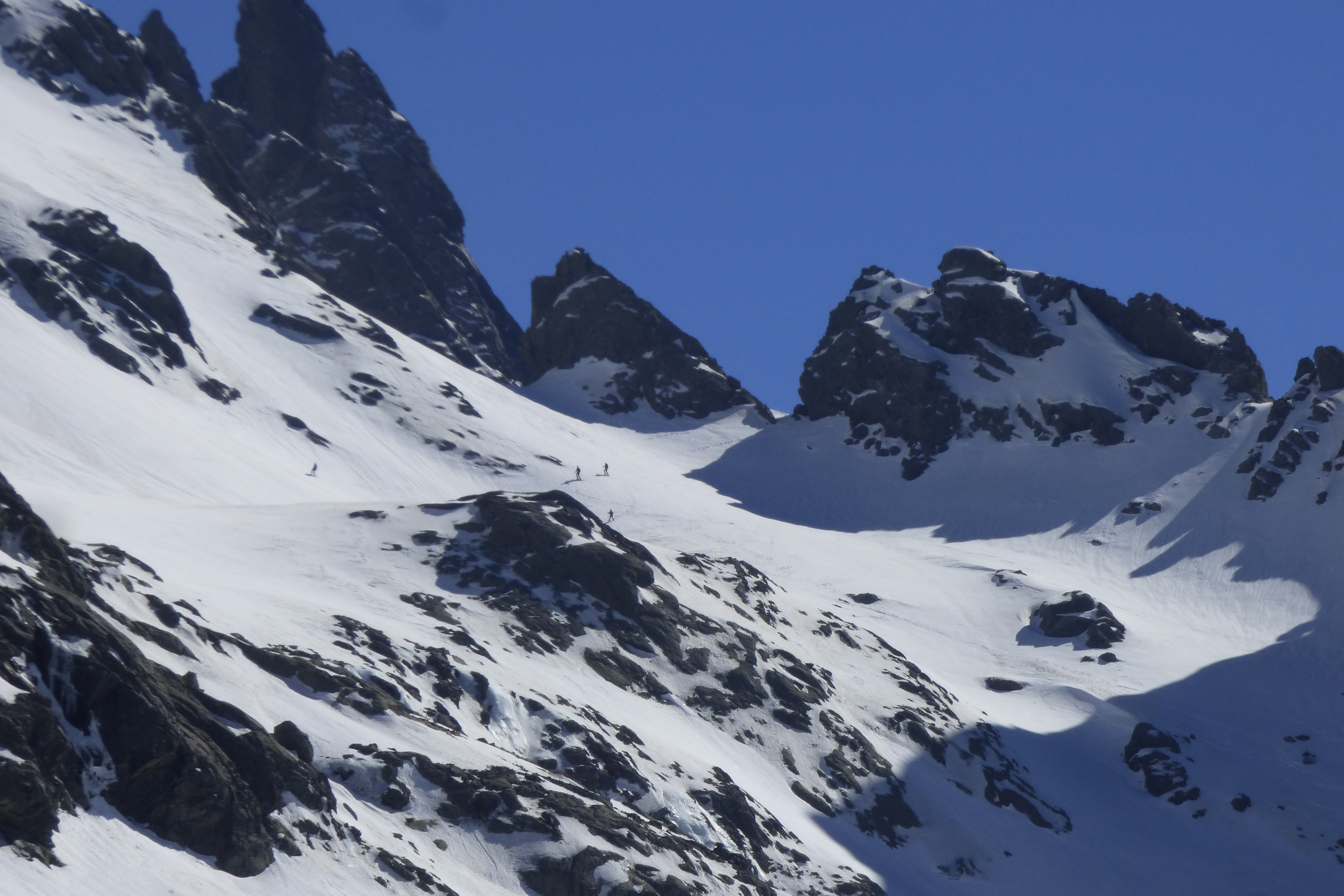 TUMAGINESCA TUMAGINESCA