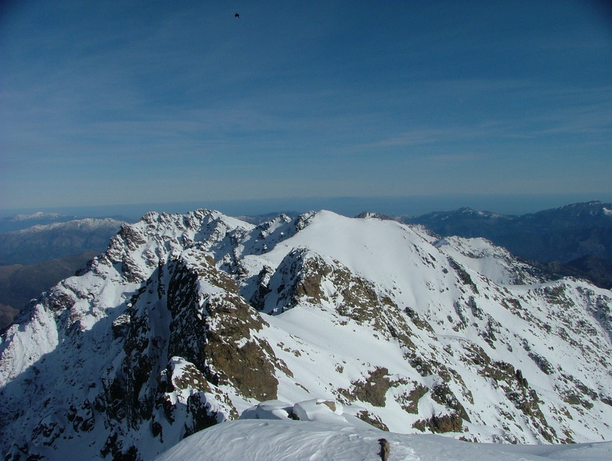 CAPU VERDATU CAPU VERDATU