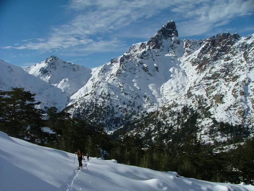 LE CAPU FALU LE CAPU FALU