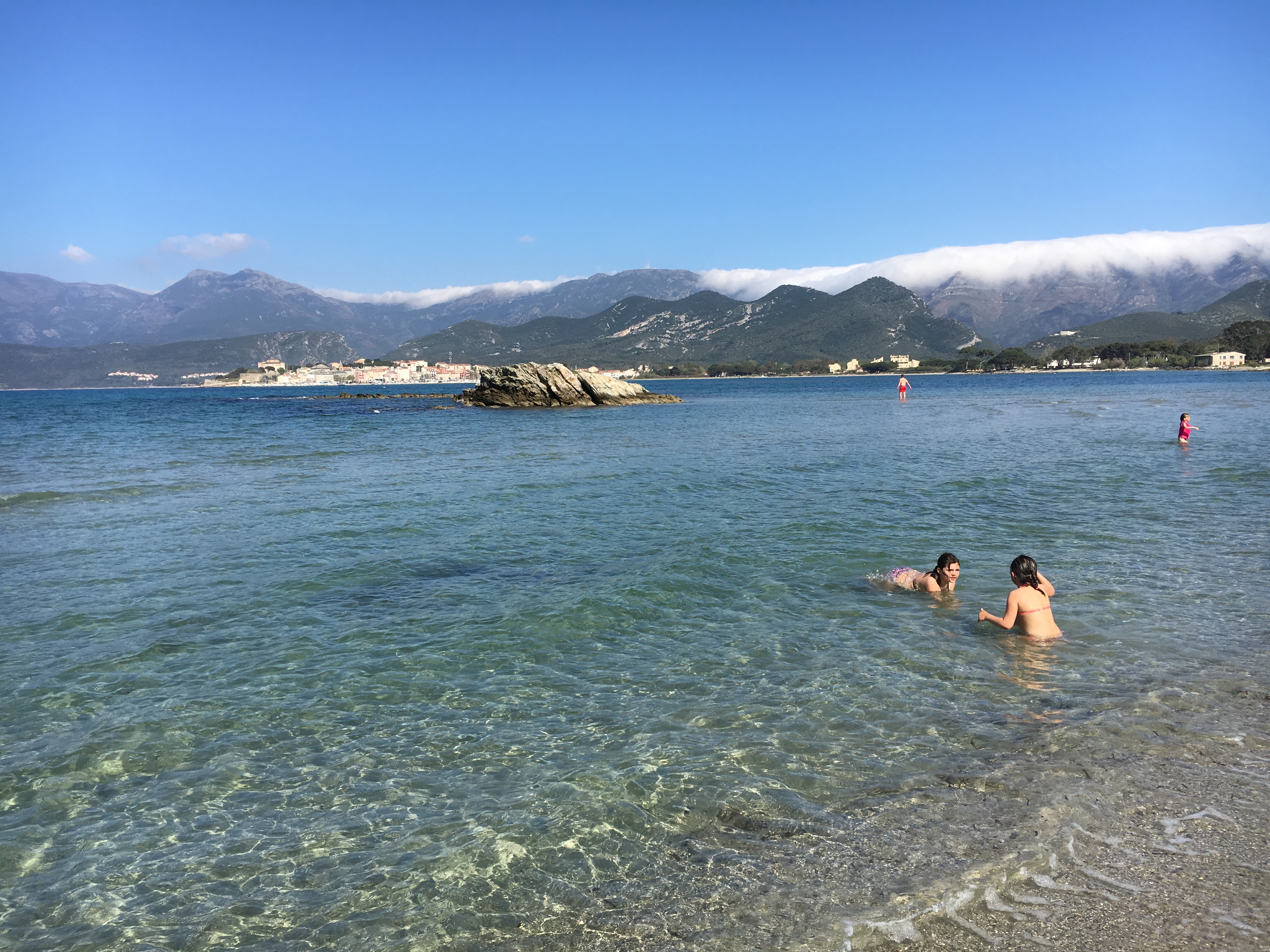 SEMPER PANPANOSA SEMPER PANPANOSA