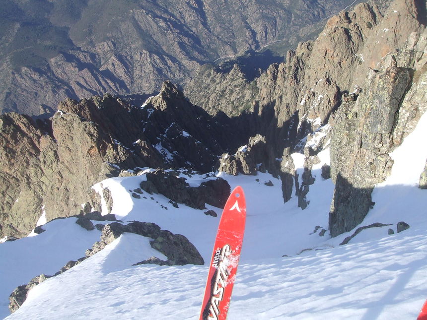 DENT D ASCO DENT D ASCO