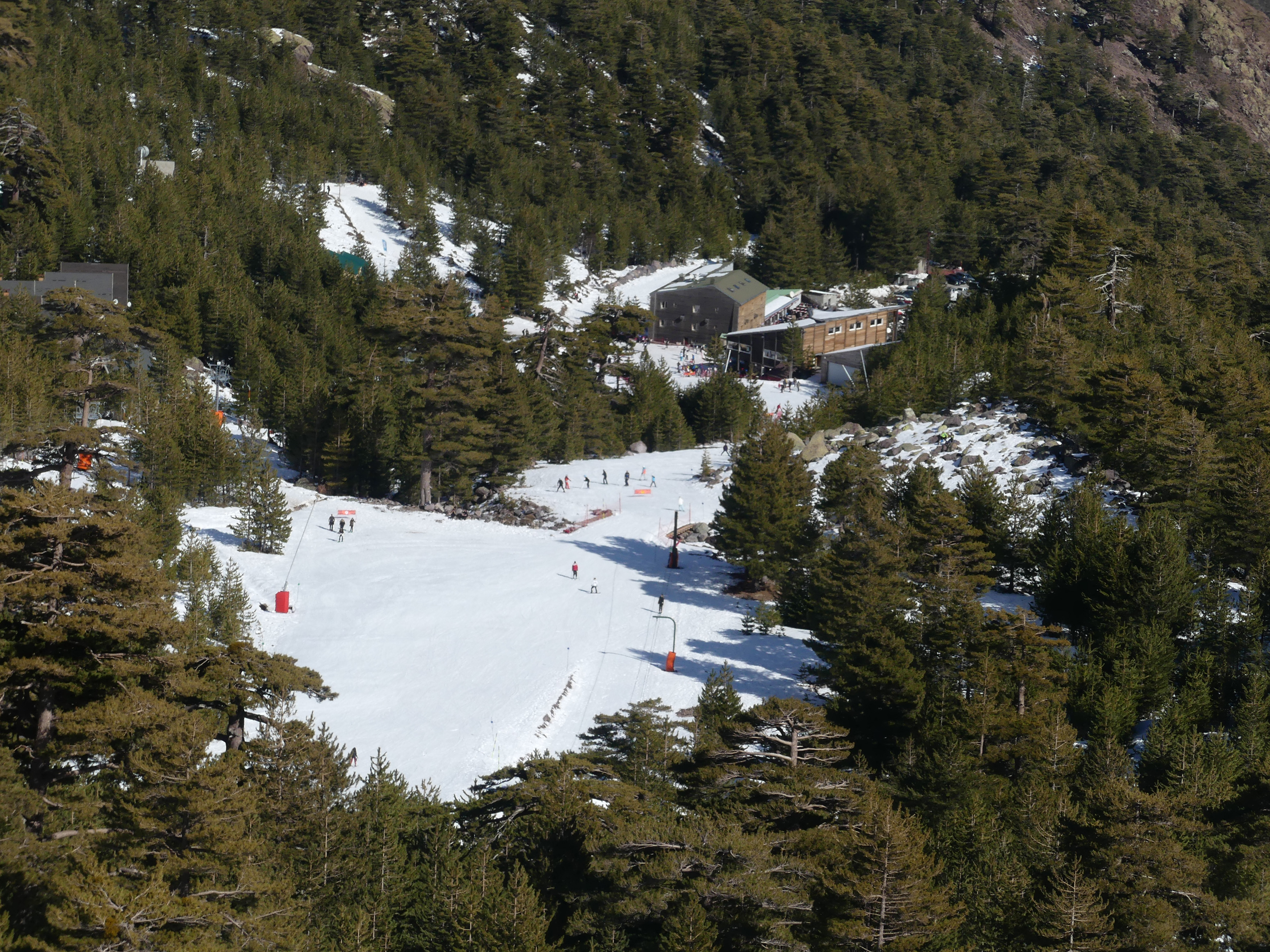 TUMAGINESCA TUMAGINESCA