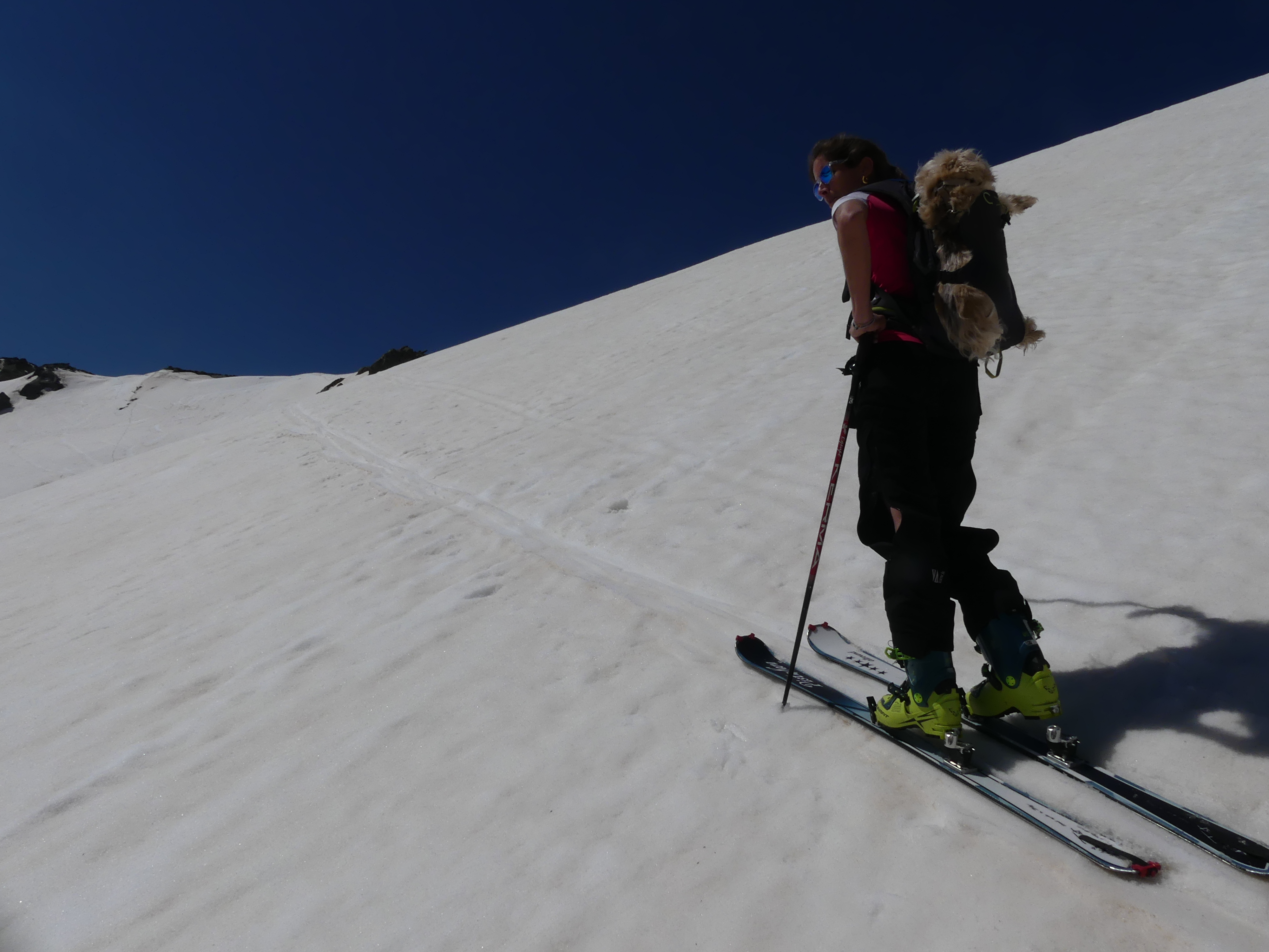 Merveilleux RINOSU Merveilleux RINOSU