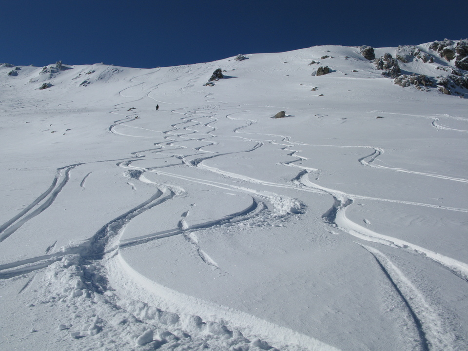 RINOSU suite RINOSU suite