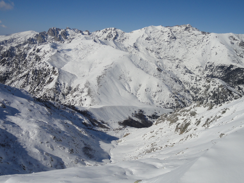 Le Printemps! Le Printemps!