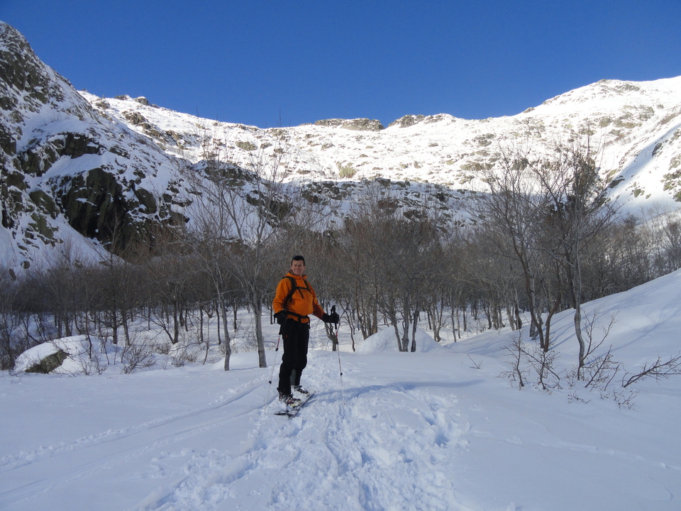 Le Printemps! Le Printemps!