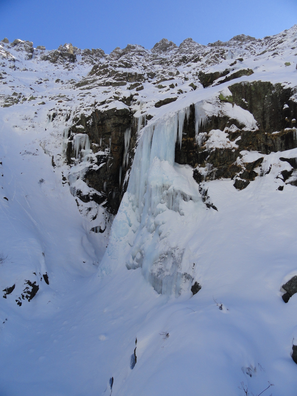 Le voile de la marié! Le voile de la marié!