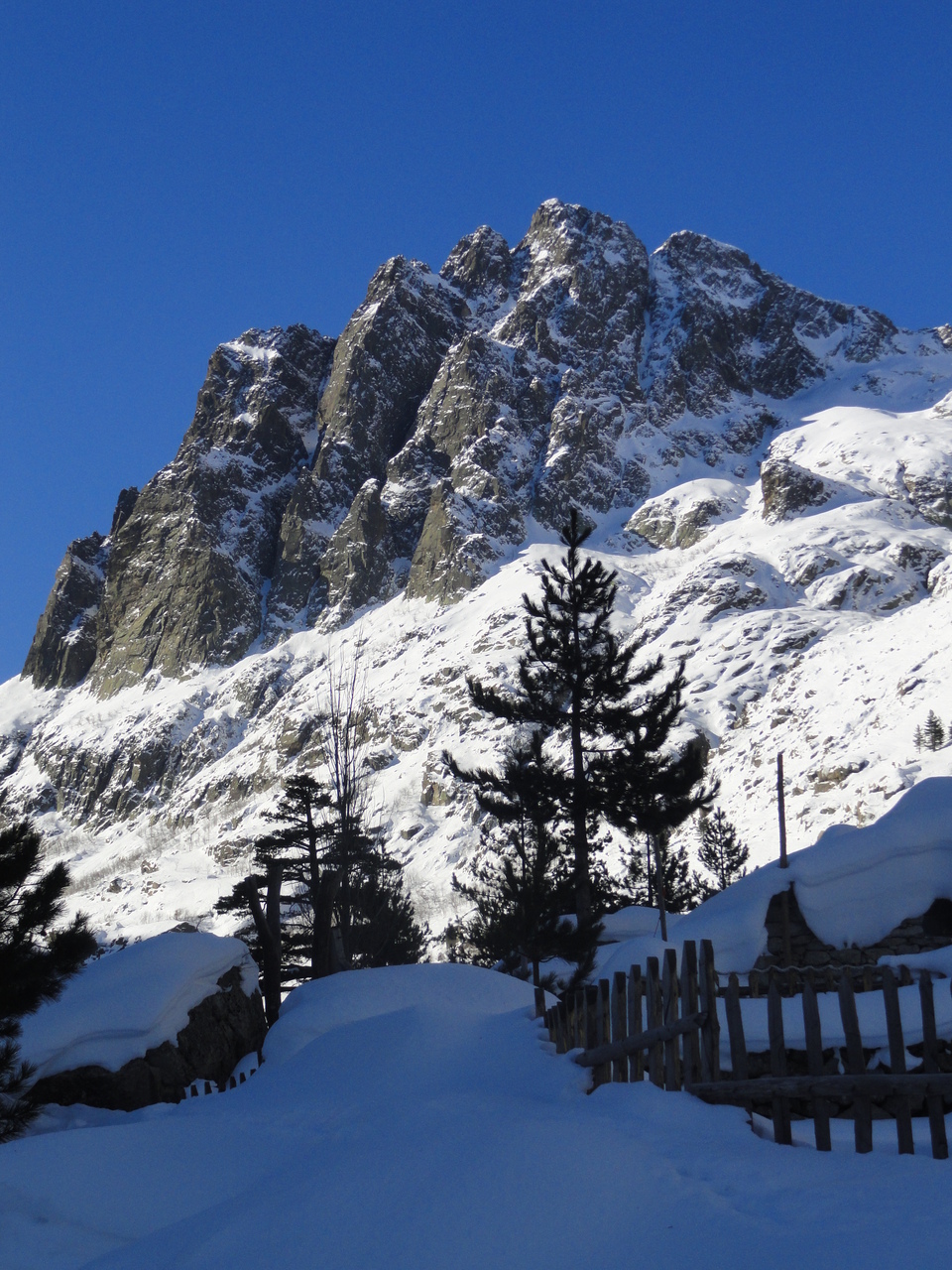 Le voile de la marié! Le voile de la marié!