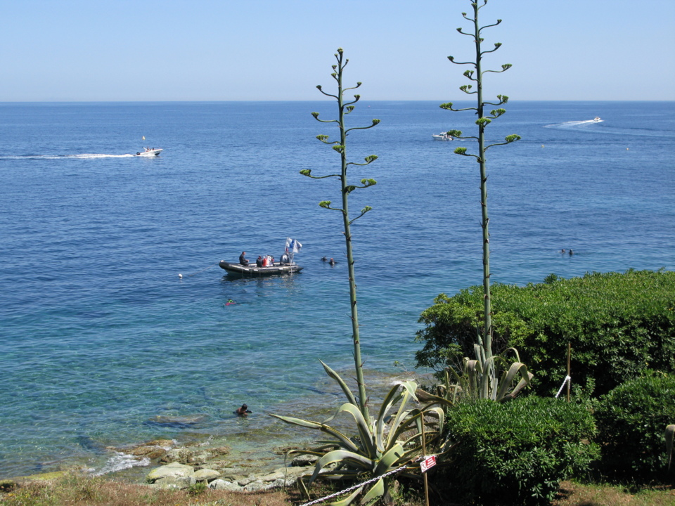 PLAGE OU MONTAGNE ? PLAGE OU MONTAGNE ?