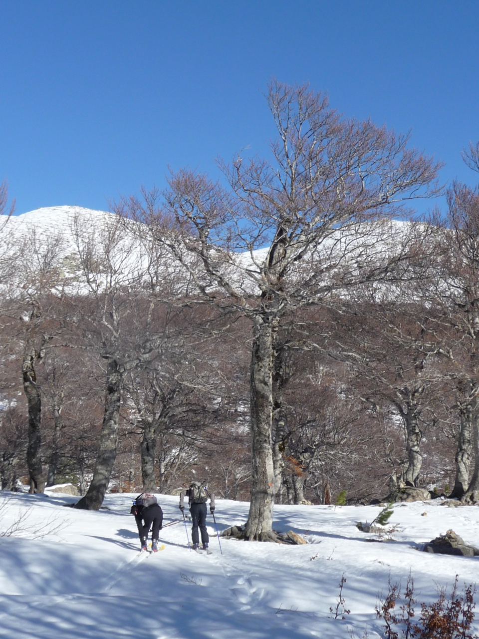 Ambiance champêtre ;-) Ambiance champêtre ;-)