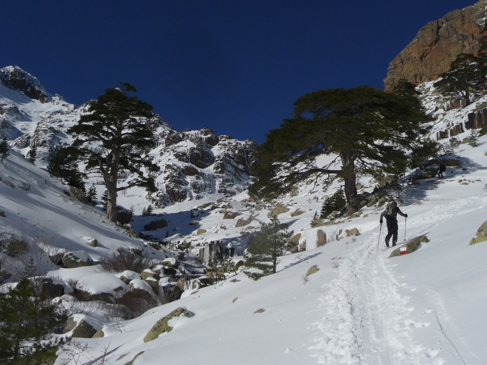 Vergio - Du coté de Punta E Cricche Vergio - Du coté de Punta E Cricche