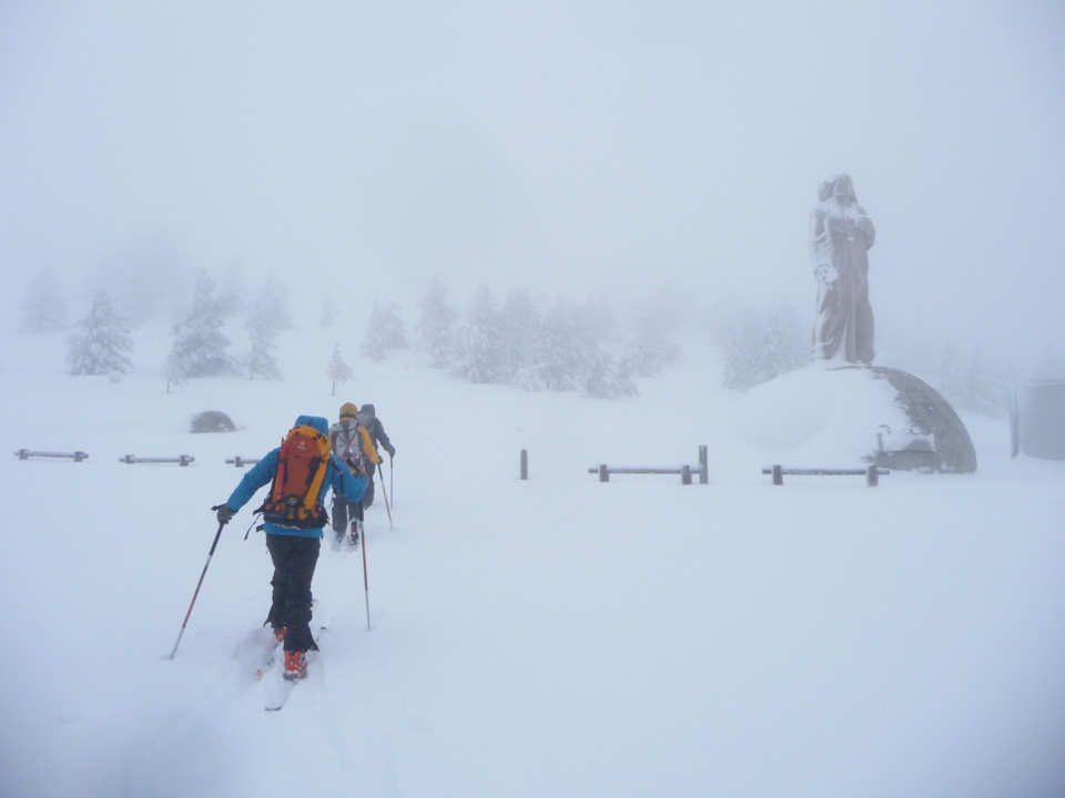 Vergio - Dans la forêt Vergio - Dans la forêt