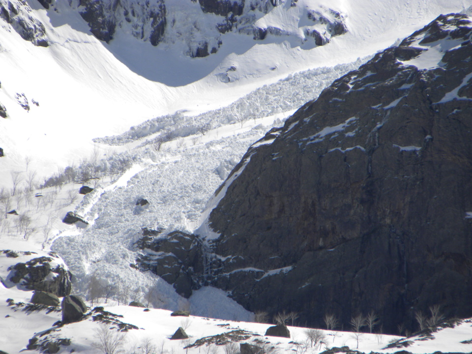 AVALANCHE PAMPANOSA AVALANCHE PAMPANOSA