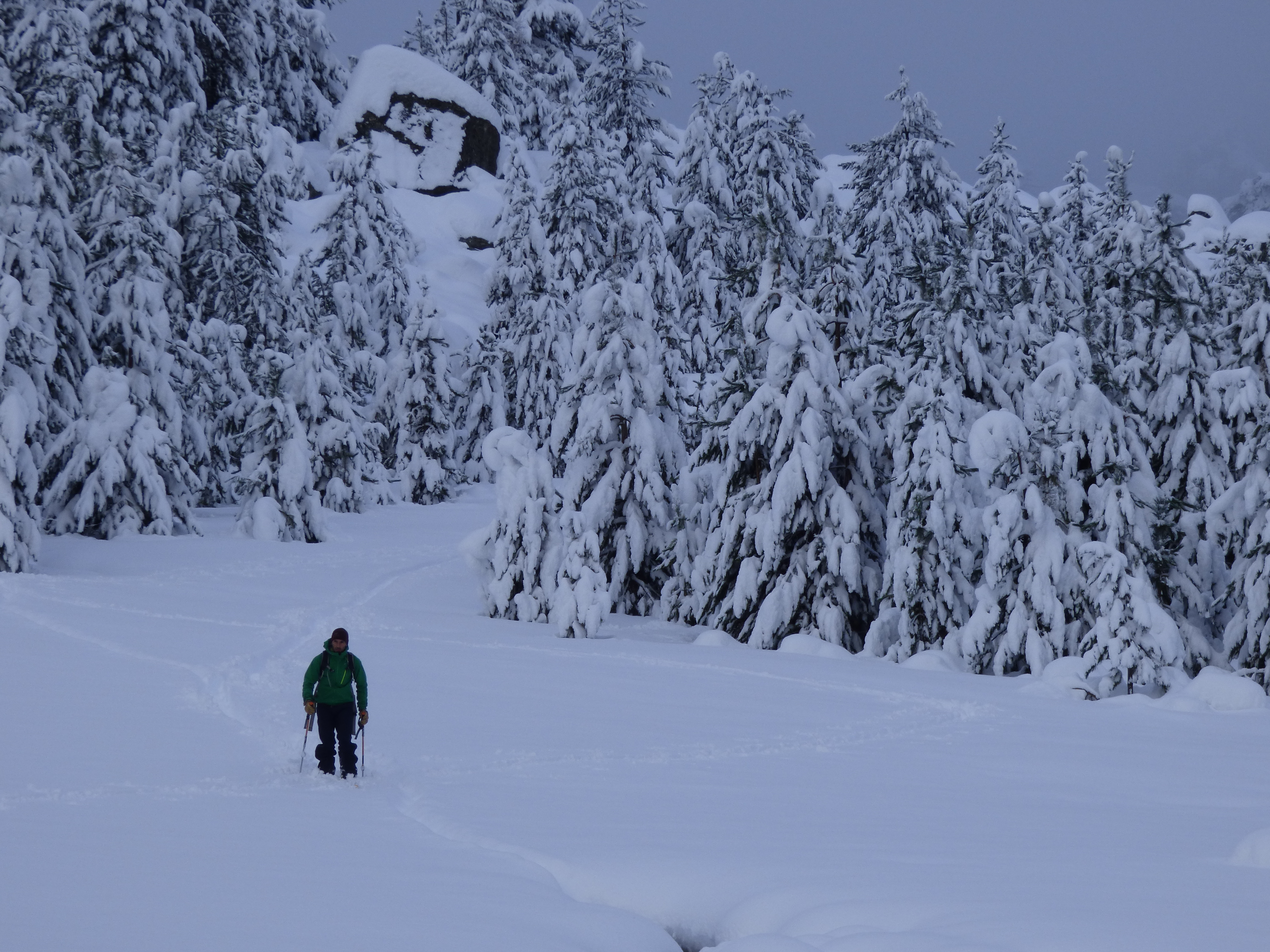 STRANCIACONE STRANCIACONE