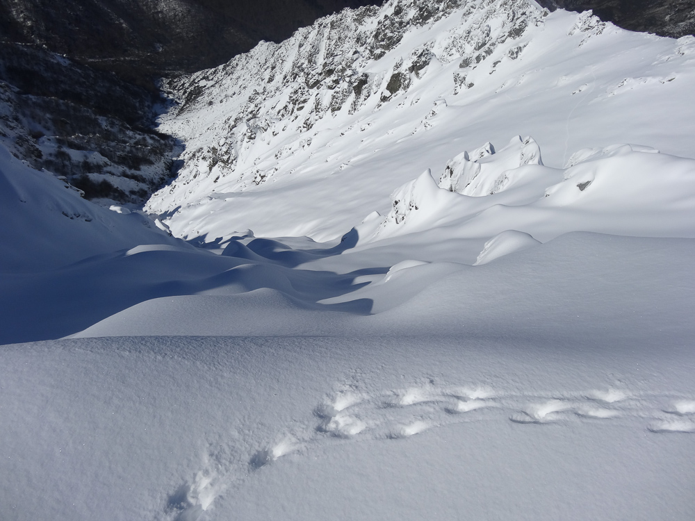 Sortie Vizzavonesque Sortie Vizzavonesque