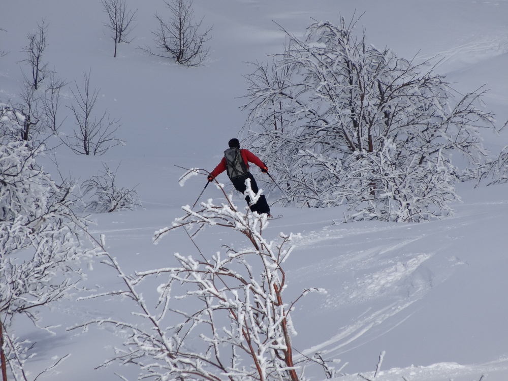 Sortie Vizzavonesque Sortie Vizzavonesque