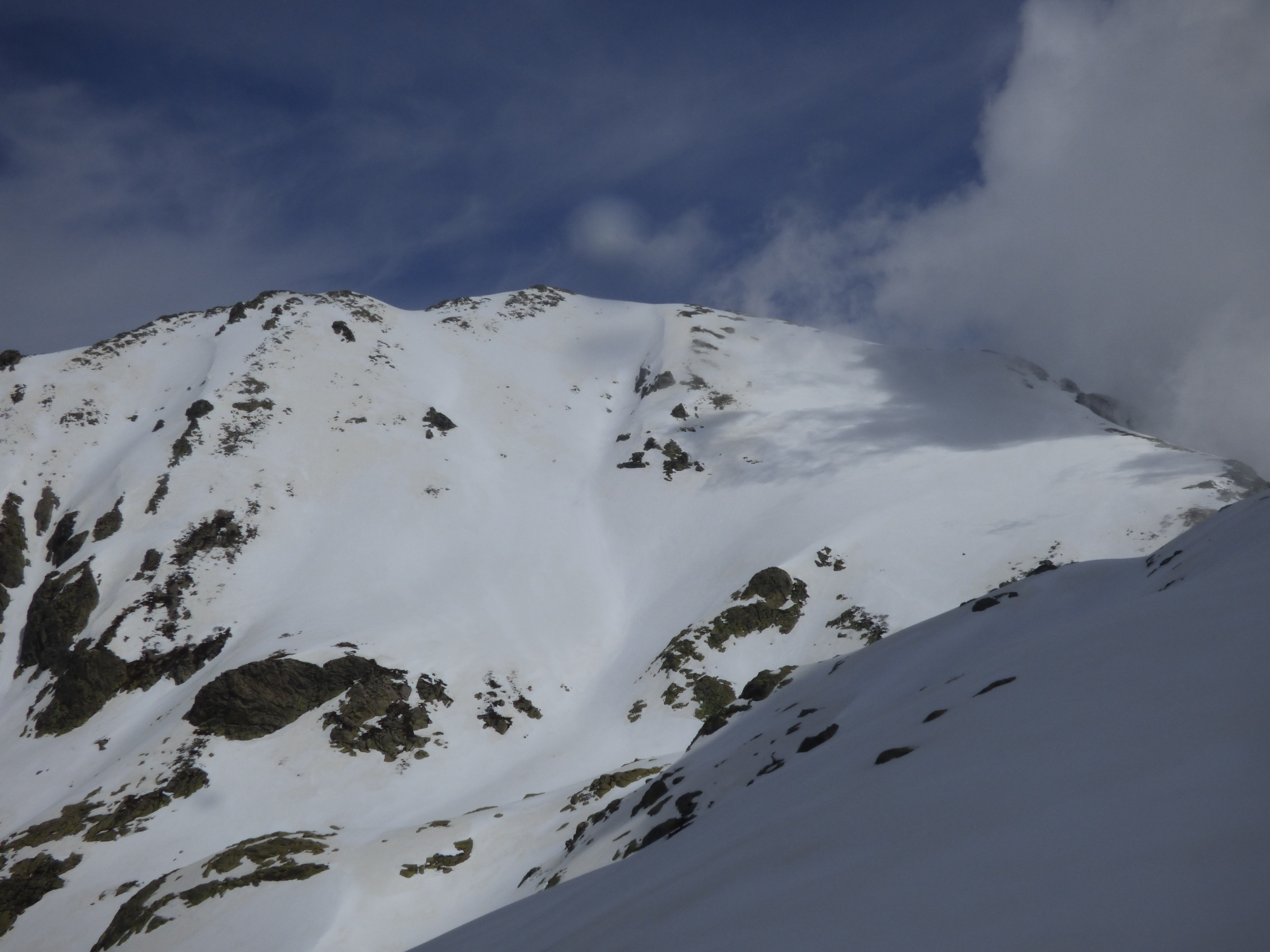 RINOSU MANICCIA RINOSU MANICCIA